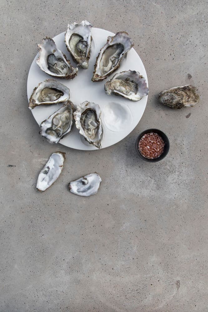 Serveringsfat Oyster, På modell 1