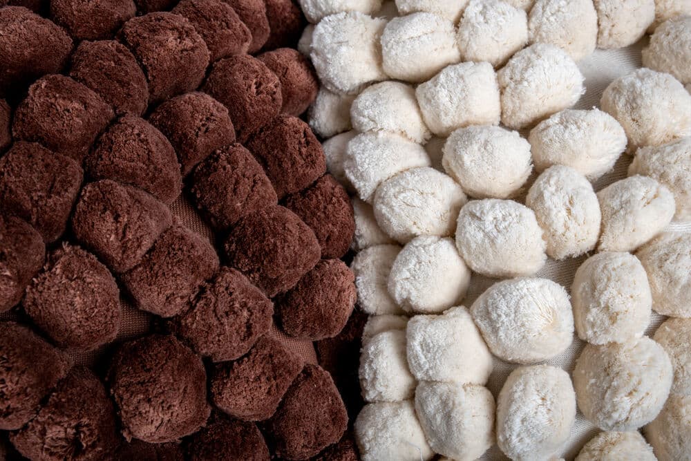 Pute Pom Pom, På modell 3