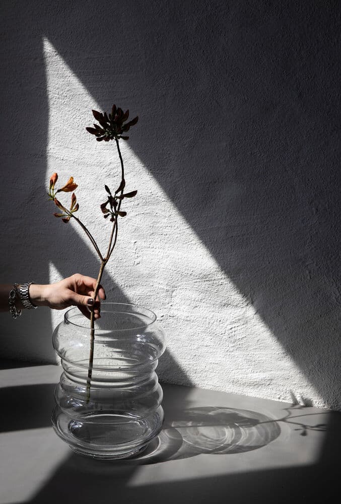 Vase Trixibelle L, Klar, På modell 5