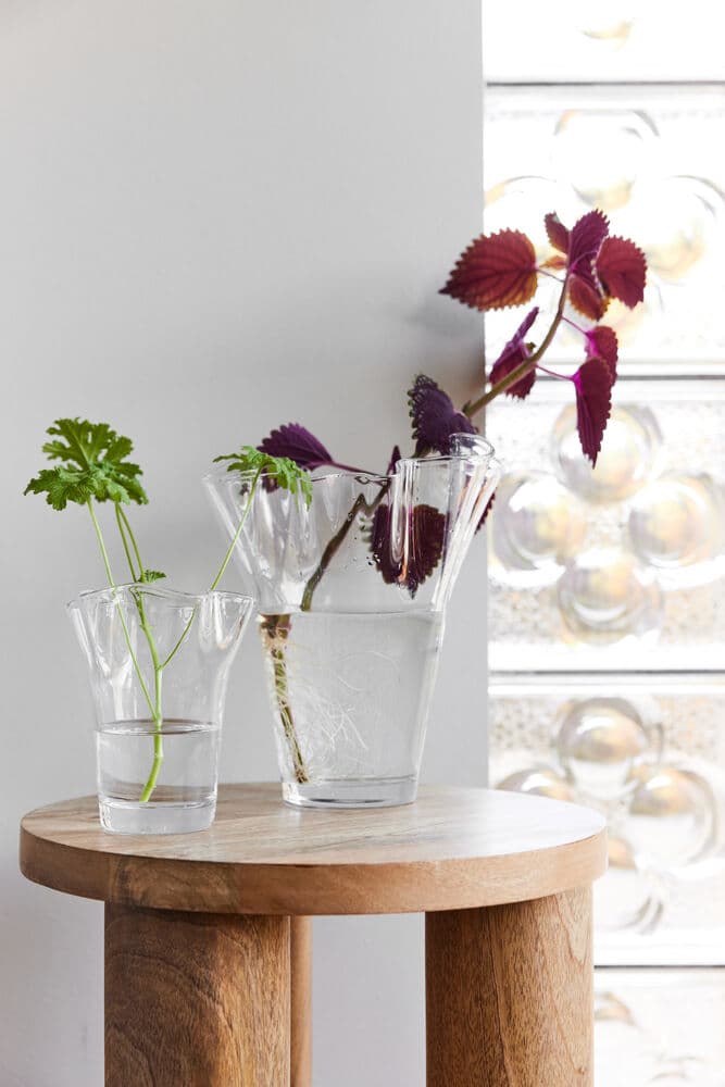 Viva Vase, Stor, På modell 2
