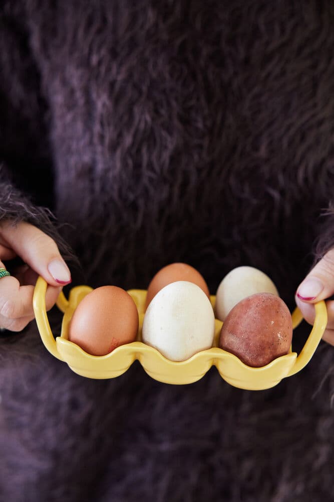 Ellen eggebrett, På modell 3