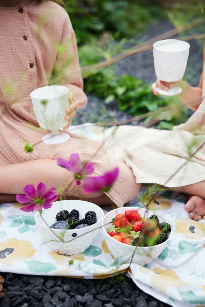 Piknik Juni Skål, Liten, 4-pk., På modell 4