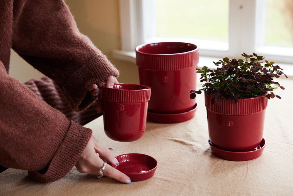 Elise Potte, Liten, På modell 3