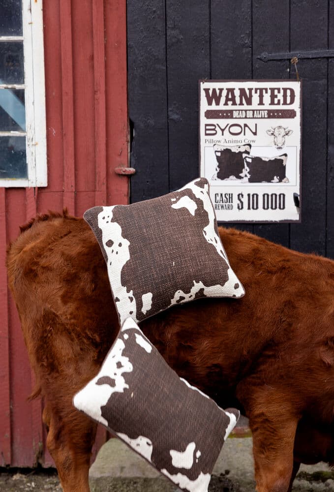 Pute Anima cow L, På modell 5