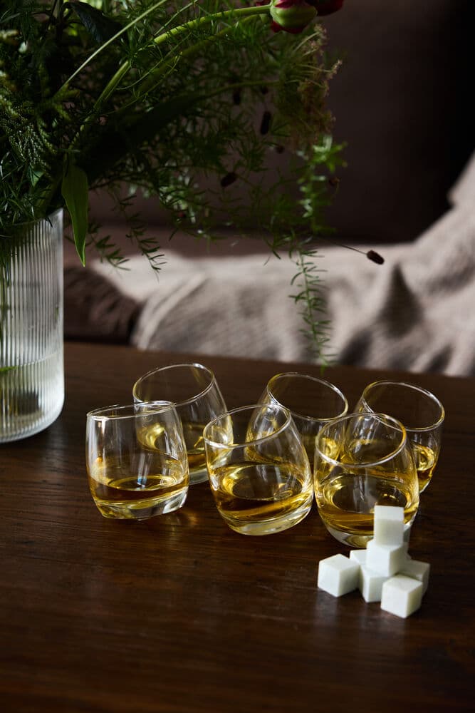 Whiskeysteiner, 9-pk, På modell 4
