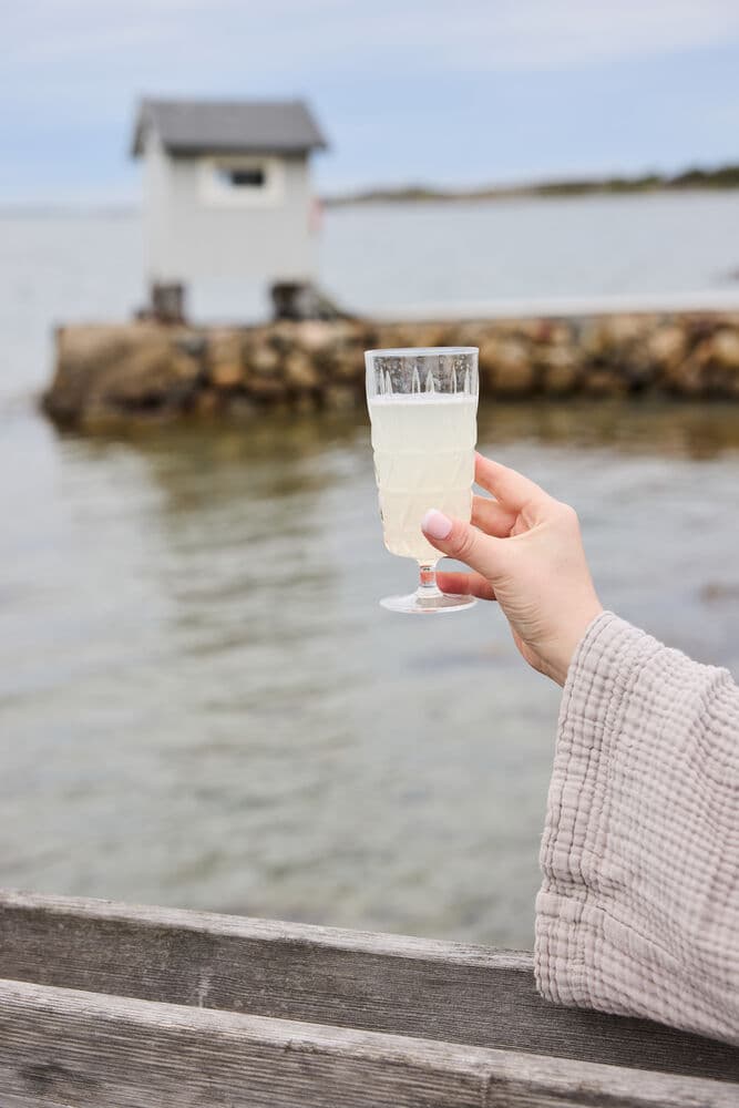 Piknik Juni Glass, Høy, 4-pk., På modell 2