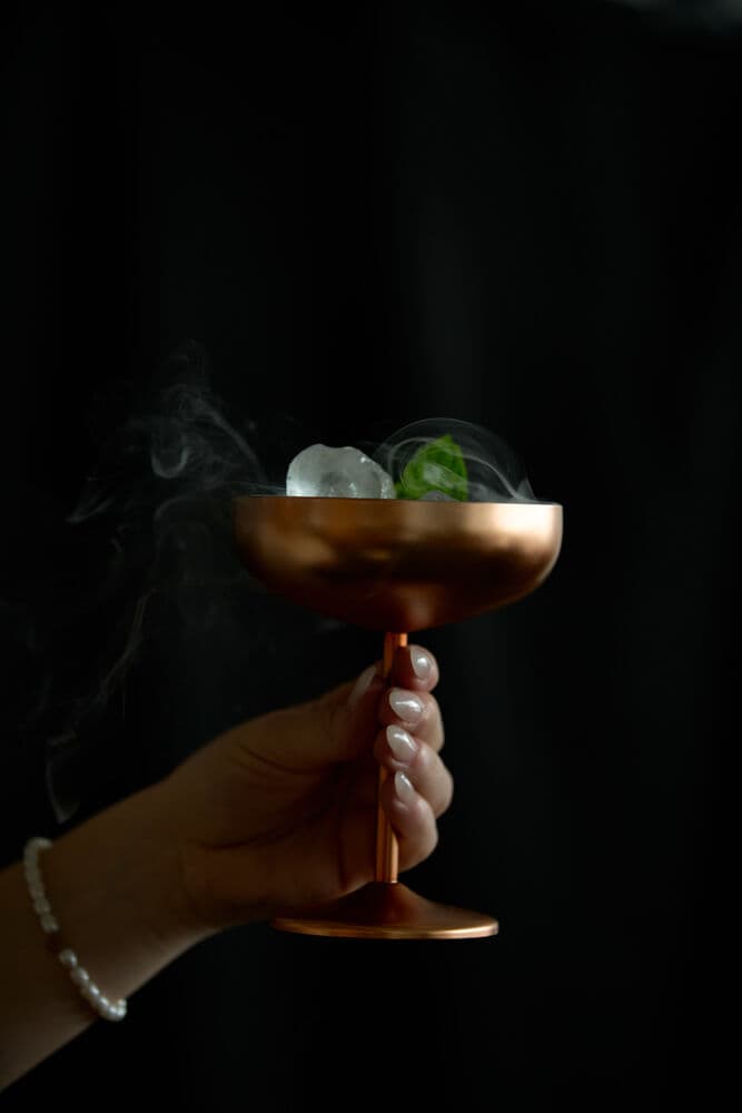 Champagne Coupe 4-pk., På modell 2