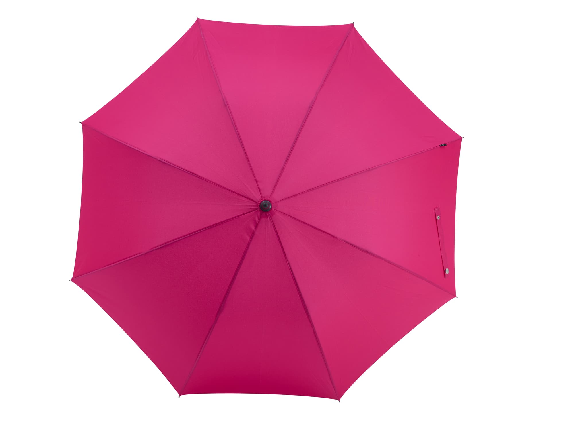 Cirrus Umbrella, Pink