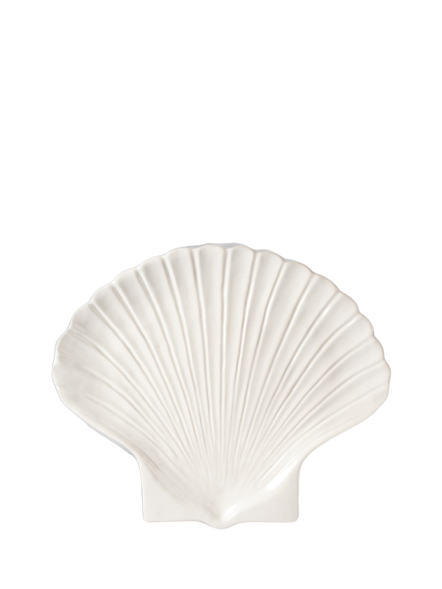 Fat Shell XL, Hvit