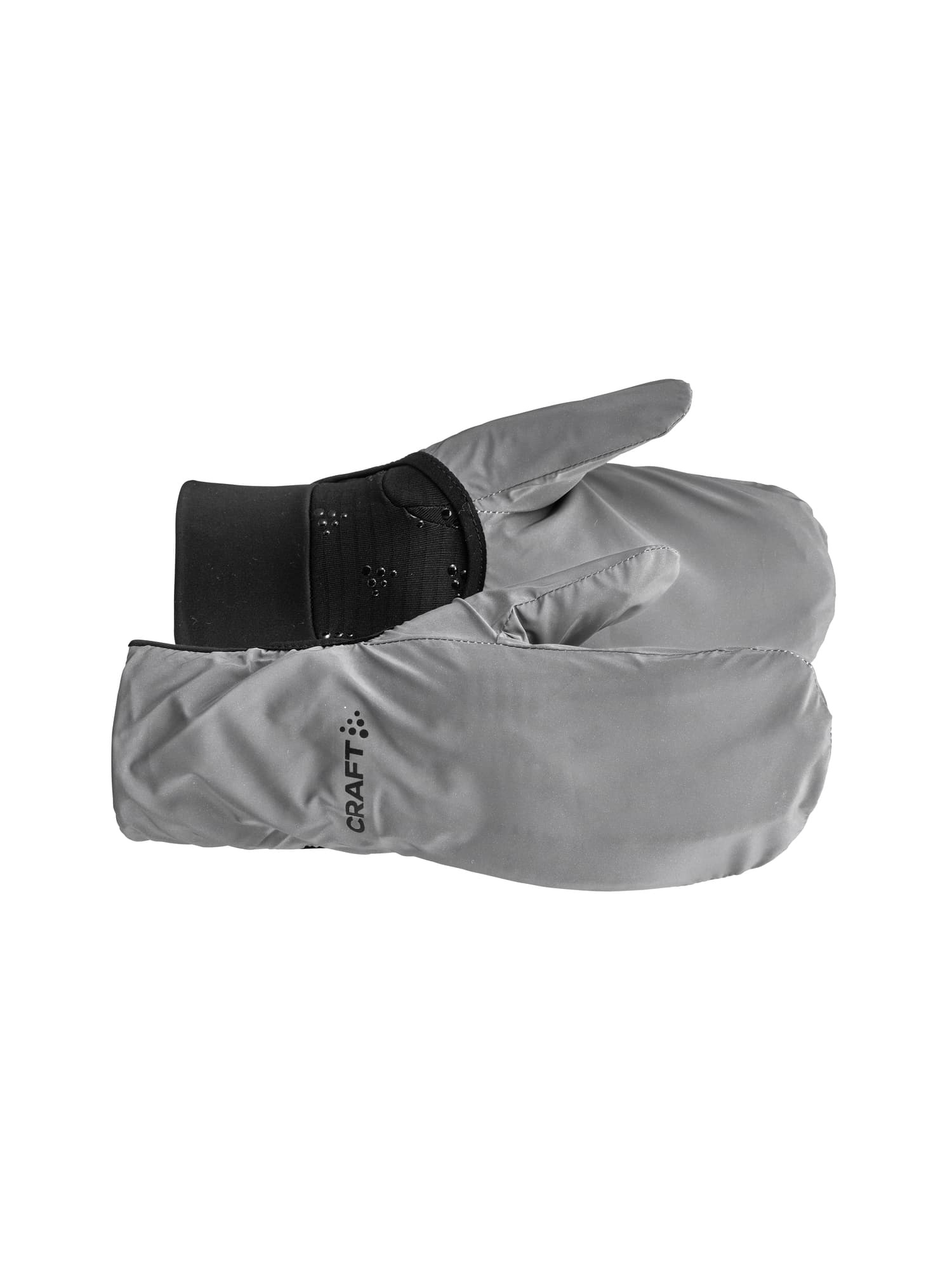 Black/Silver