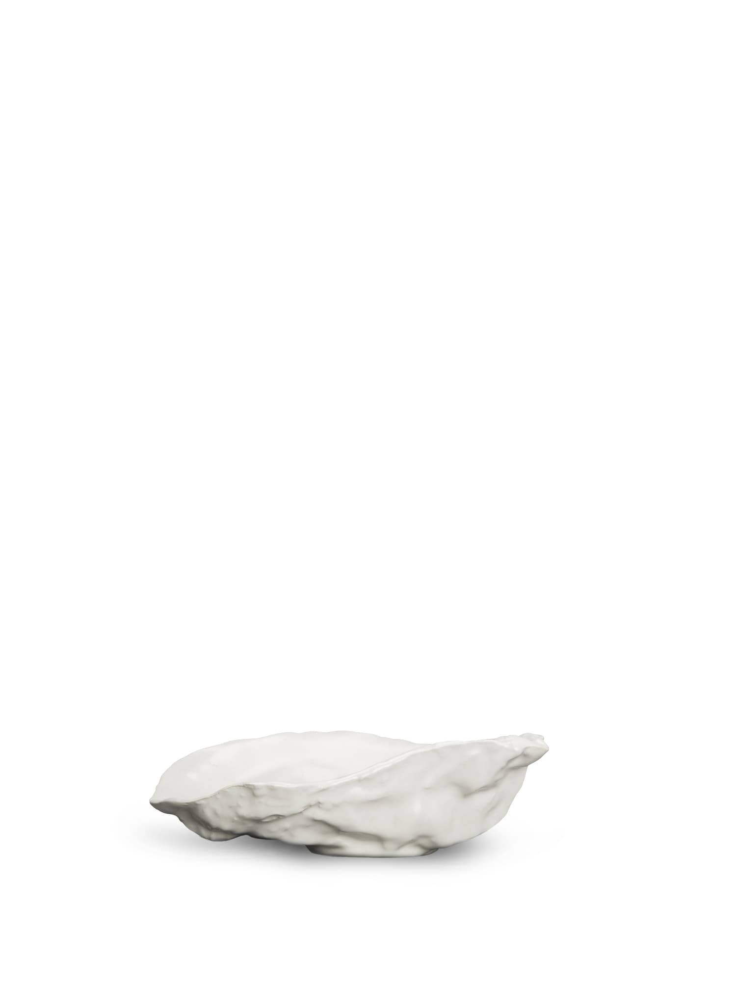 Fat Oyster