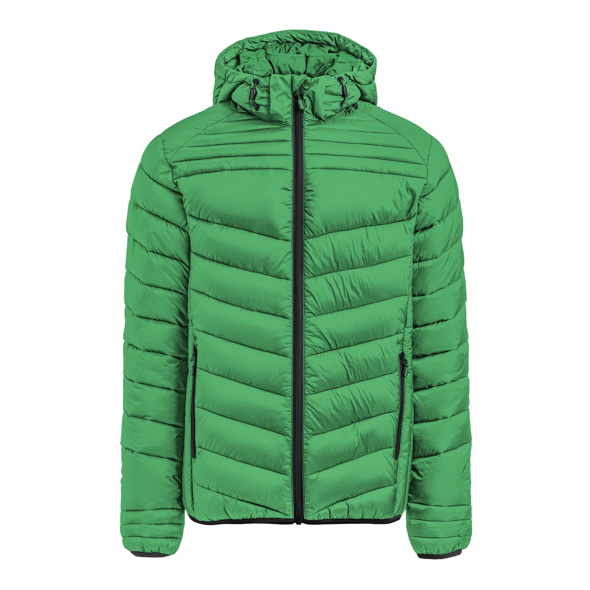 Fresh Green