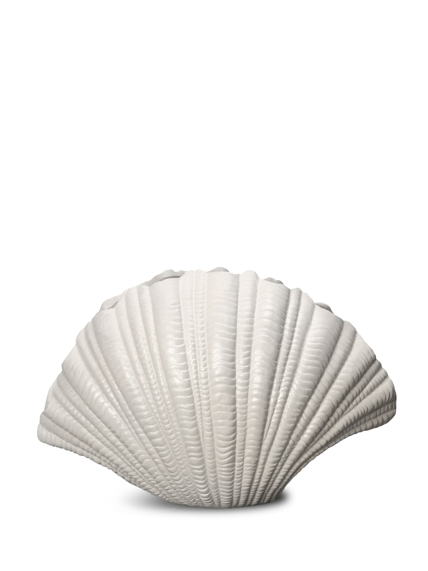 Vase Shell