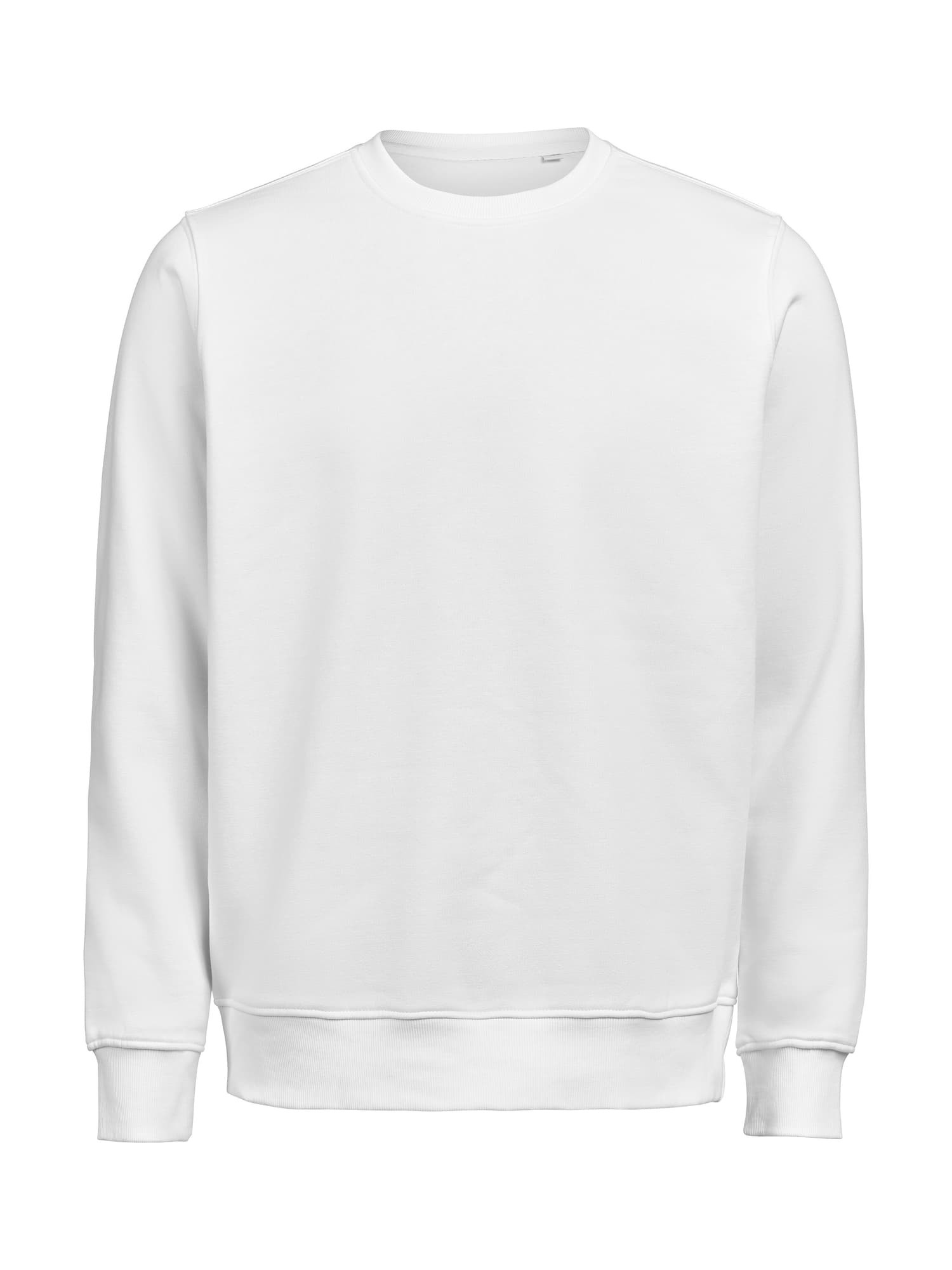UM Crewneck (OCS-RCS) Regular Fit Unisex