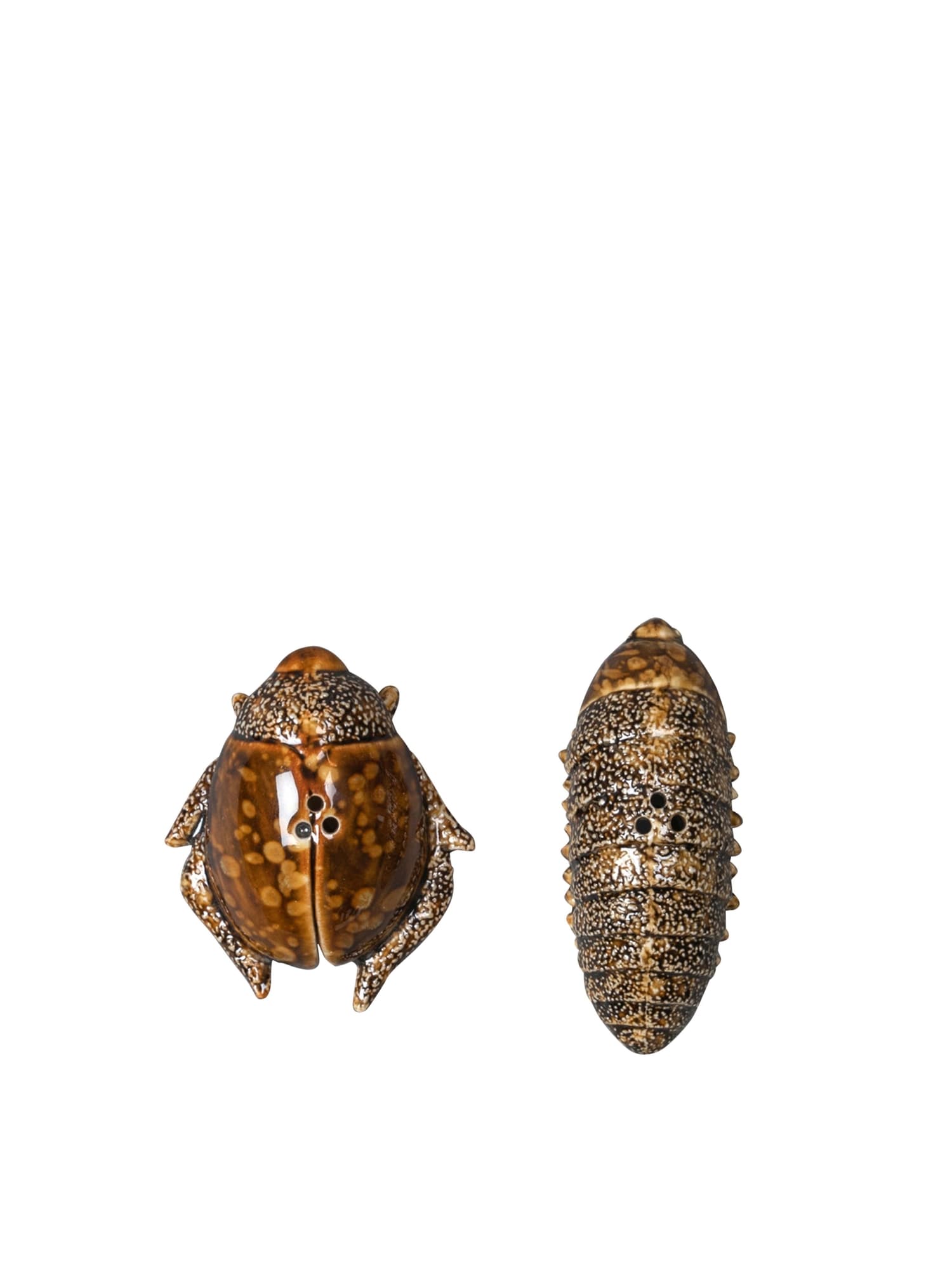 Salt & pepper Bug
