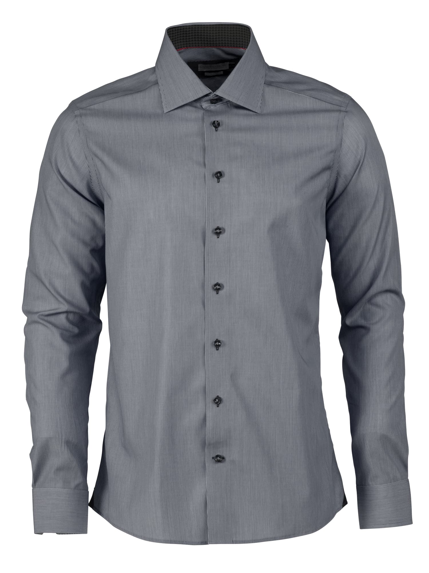 Grey Stripe