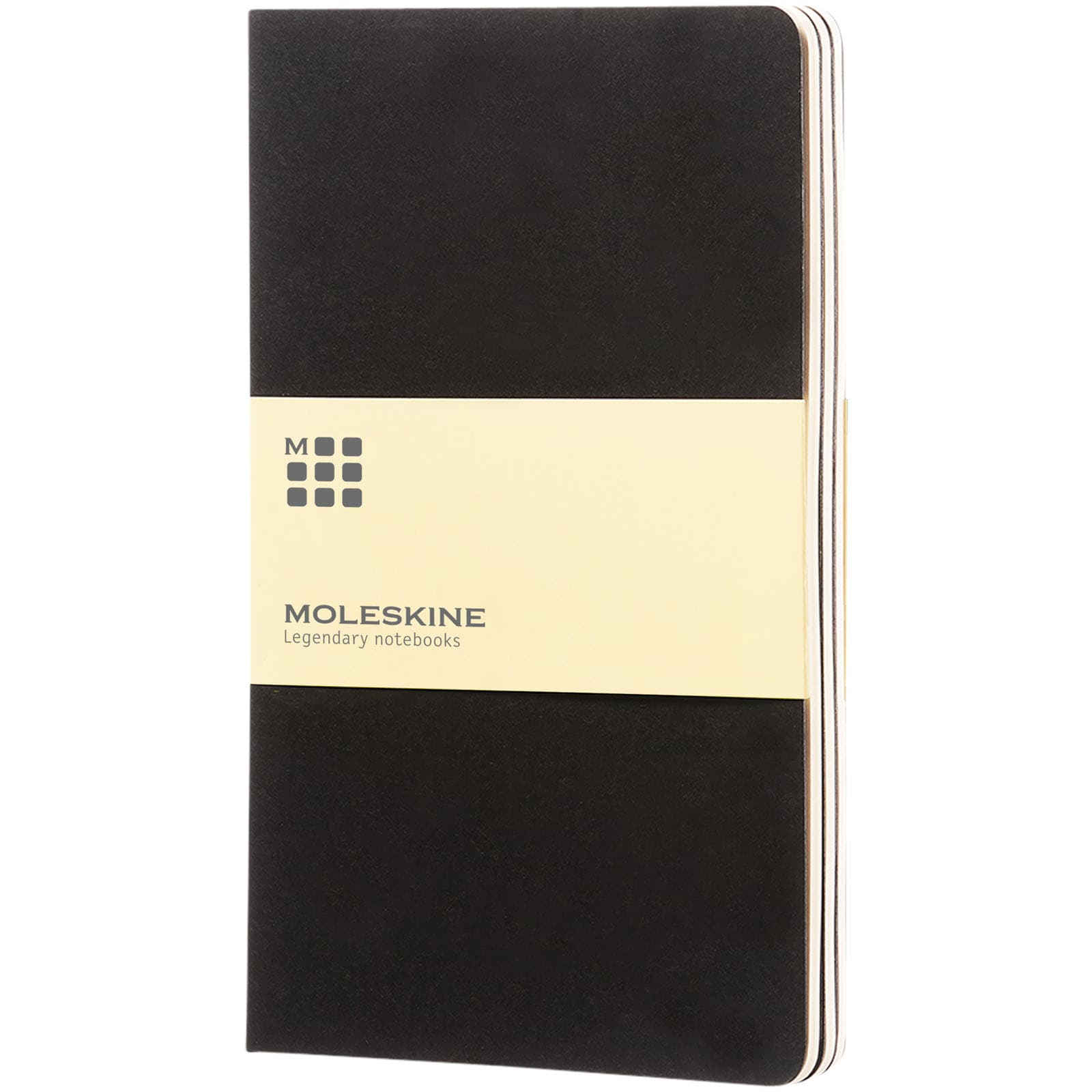 Moleskine Cahier Journal L – vanlig