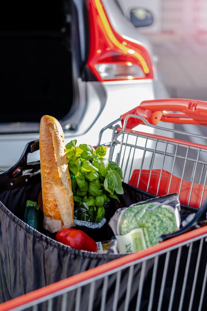 Shopping Bag, På modell 1