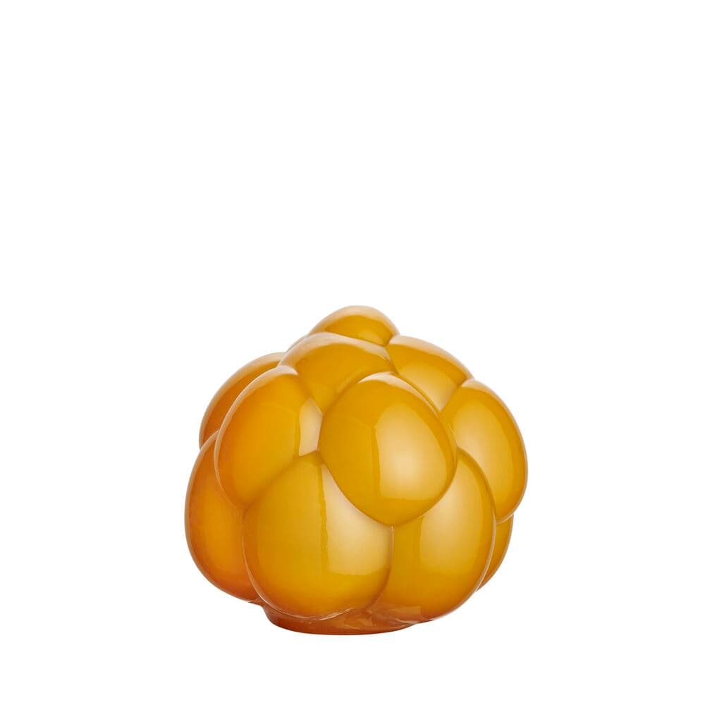 EEÅ Berry Tales Rav AC-21, På modell 1