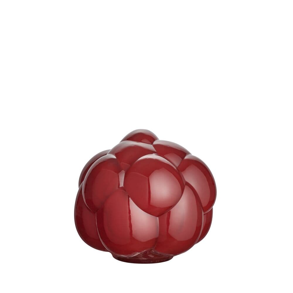 EEÅ Berry Tales Rubin AC-21, På modell 2