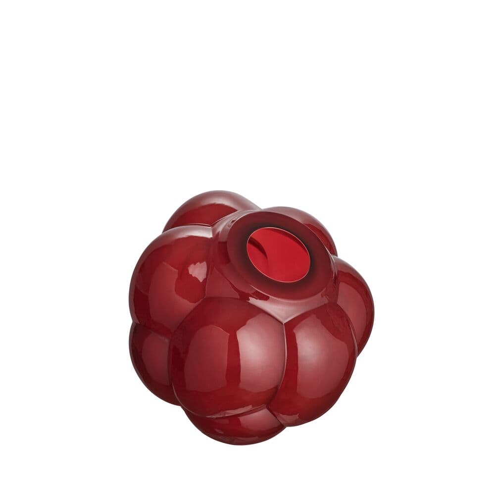 EEÅ Berry Tales Rubin AC-21, På modell 1