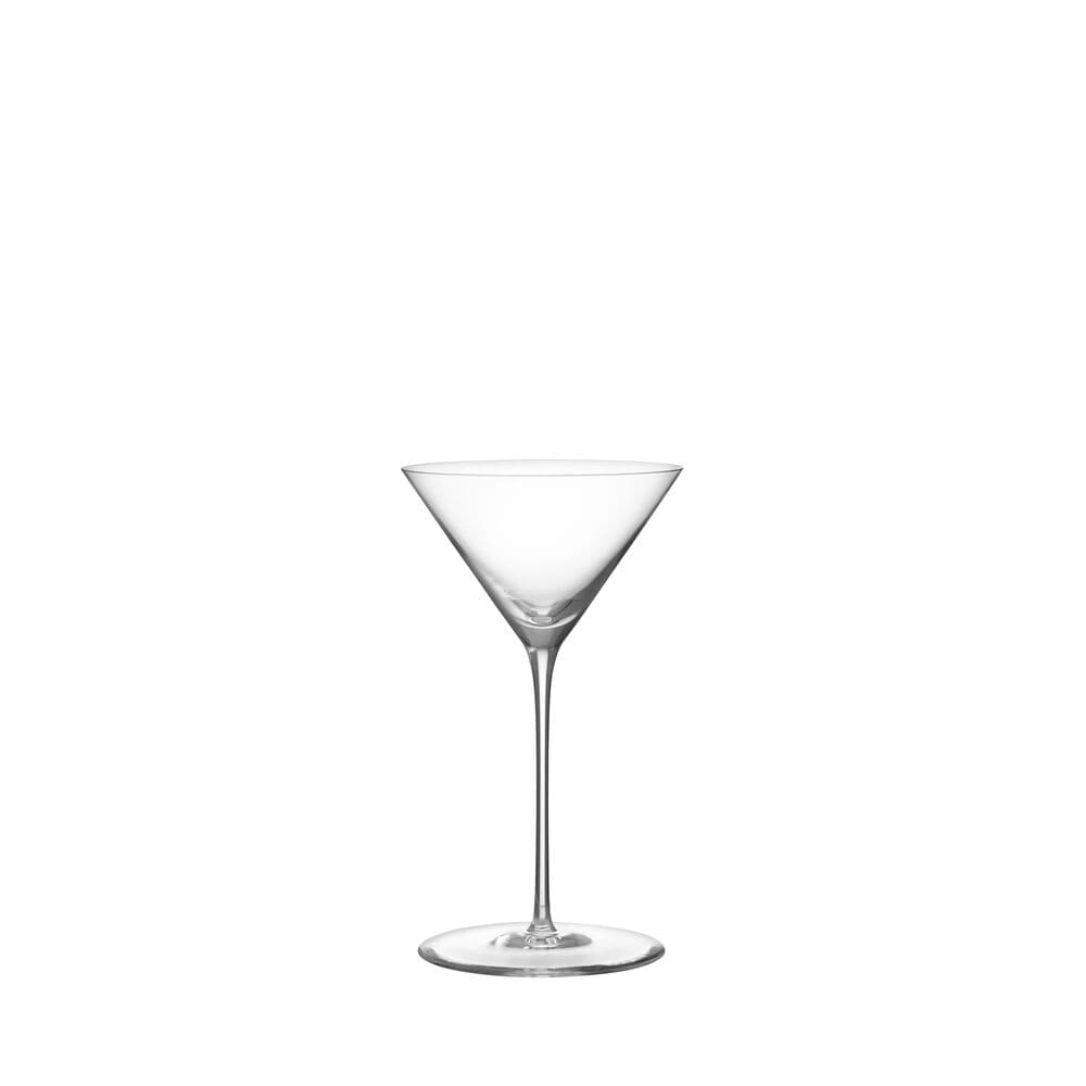 Geometry Martini glass 20cl 2-pack, På modell 1