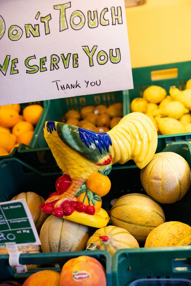 Skål Fruity Rooster, På modell 2