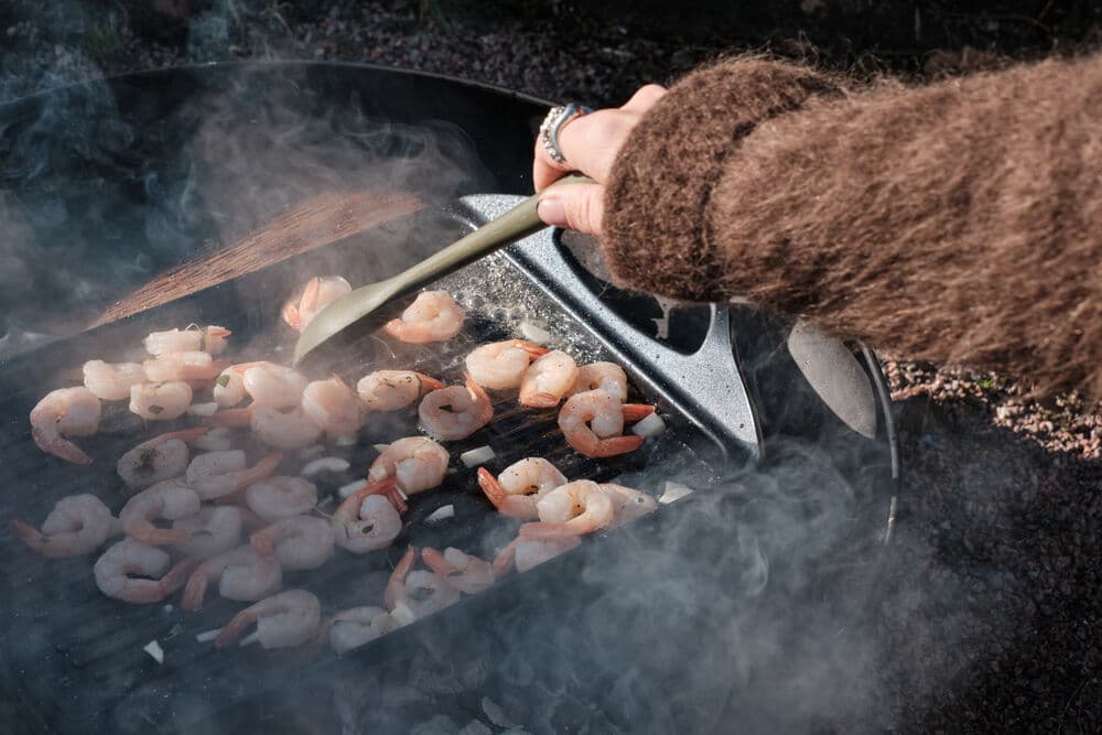 Isak grillplate, På modell 4
